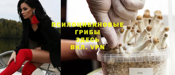 прущая мука Белокуриха