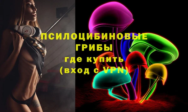 прущая мука Белокуриха