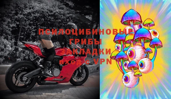 прущая мука Белокуриха