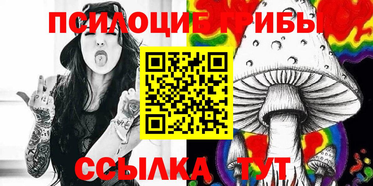 Майкоп  Галлюциногенные грибы Psilocybe  Вход с VPN 